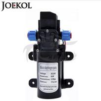 DC 12V/24V 60W/80W High Pressure Diaphragm Water Pump,water Pump With Automatic Pressure Switch,Flow 5L/minm 60W 12V