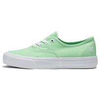 Vans Authentic Sunny Day Vr3 'Bright Green' Men's VN0005UDBLZ EU 40.5