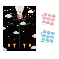 Baby Gender Reveal Voting Board He Or She What Will Baby Be Baby Shower Game Interactive Voting Sign for Guests One Size