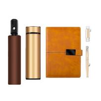 Premium Executive Gift Set auksas