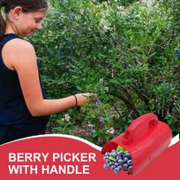 Berry Picker with Handle Pick-up Tools Berry Picker Rust Proof Fruit Harvester Blueberry Rake Ergonomic Handle China Mainland