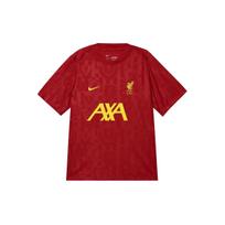 Nike Liverpool FC Academy Pro Dri-FIT Soccer Pre-Match T-shirt 'Red' Men's FN9653-688 S