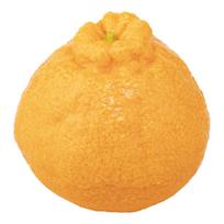 Nihon Sample Food Sample: Dekopon (a type of citrus fruit), 90mm (width) x 95mm (height), Item No. 3022