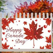 2D Happy Canada Day Backdrop Photography Background 47.2x31.5inch/120*80cm