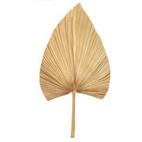 Wedding Decor Party Bohemian Trimmed Boho Tropical Palm Spears Fan Leaf Dried Plant Leaves 1Pc