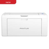 Pantum P2555 A4 Black & White Laser Printer with USB CN plug (adapter included)