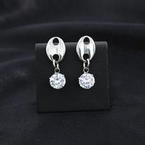 Elegant Titanium Steel Pig Nose Earrings with Dual Coffee Bean Zirconia Pendants: Trendy High-End Drop Earrings for Women plieno spalva