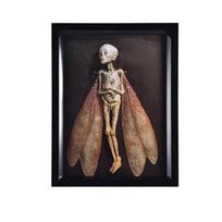 Cursed Items  Dead  Shadow Box Display Handmade Creepy Mummified  Corpse  Art Ornament