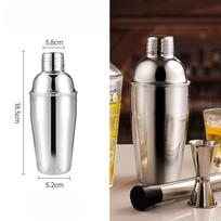 Cocktail Shaker 550ml Martini Shaker Stainless Steel Mixer Bartender Bottle with Built in Strainer Bar Shaker for Mixed Drinks