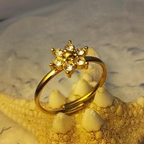 Stylish Light Luxury Zircon Stainless Steel Ring auksas