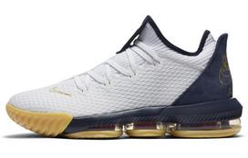 Nike LeBron 16 Low EP 'Dream Team' 40.5