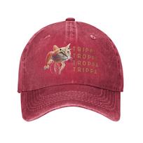 Trippi Troppi Cat Casual Baseball Cap  Running Hippie Trucker Hat Summer Dropshipping Unisex Women DIY Print Baseball Caps One Size