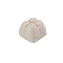 Practice Teeth Model For Dental Students Dental Model For Maxillary Sinus Internal External Lifting  Dental Training Model Block