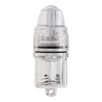 Light Fishing Transparent Barbed Pinpoint Claw Coating High Carbon Stainless Steel Eyed for Outdoor Fishing  Accessories