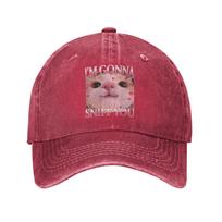 Im Gonna Sniff You Weird Funny Sarcastic Cat Lover Meme  Casual Baseball Cap Hats Visor Protection Snapback Cotton gorras Adjustable