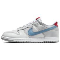 Nike Dunk Low 'Silver Surfer' Men's HF0391-001 EU 46