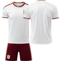 Spain Away World Cup Jersey No. 9 Football Jersey Set 16