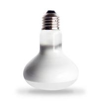 NEW 220V Reptile Heat Lamp Simulated Sunlight Thermal Bulb Basking Light Bulb Pet Heating Reptile Care Tools Pet Supplies