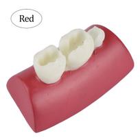 Dental Inlay Practice Model Block Made of Resin for Filling Exercises Typodont Training and Student Dentistry Education raudona