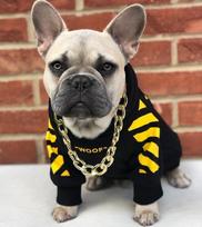 Trendy Corgi Schnauzer French Bulldog Hoodie: Autumn/Winter Sporty Pet Apparel Medium