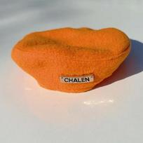Autumn/Winter Pet Beret: Warm Dog & Cat Hat Accessory Small