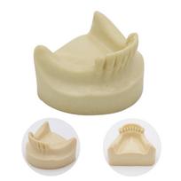 YOUYA 1PCS Dental Model Teeth Implant Practice Model Tooth Dental Implant Model Training Display  Dentistry Oral Teaching Models