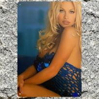 Pamela Anderson Metal Wall Art Celebrity Portrait Home Decor Office Gift 20x30cm