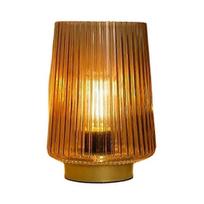 Battery Operated Lamp Table Lamps for Bedroom, Cordless Battery Powered Lamp with LED Bulb