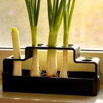 Plastic Hydroponic Vegetable Box Repeated Growth Soil-Free Growing Seedling Tray Ventilated Hydroponic Planter