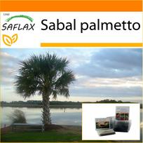 SAFLAX - Sodas maiše - Palmetto Palm - 8 sėklos - Su substratu tinkamame stovimame maišelyje - Sabal palmetto