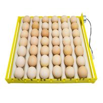 Automatic Egg Incubator Tray with Adjustable Plastic Tubes Hatching Equipment for Bird Eggs and Poultry