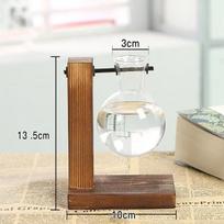 Creative Hydroponic Plant Bonsai Wooden Frame Glass Vase Modern Living Room Desktop Decorations Flower Pots