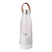 LISM Portable USB Mini Juicer Blender