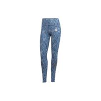 (WMNS) adidas by Stella McCartney TruePace Running COLD.RDY Leggings Asia Sizing 'Teal' Women's HG6865 M