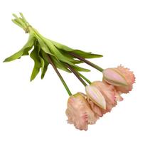 5 Heads Tulip Artificial Flower Multicolor Silk Petals Simulation Tulip Flower DIY Floral Arrangement Faux Flower rožinė