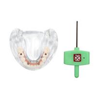 Danties implantato modelis All On 4 Viršutinis/Apatinis žandikaulis Dantų protezas ant implantų Modelis Su nuimamais atnaujintais implantais Švietimui