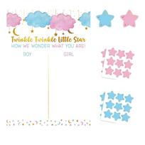 Gender Reveal Voting Board Baby Shower Game Twinkle Little Star Theme Interactive Party Decoration for Boy or Girl Announcement One Size