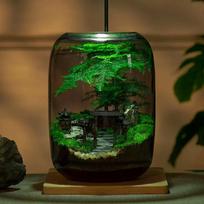 Mikro-kraštovaizdžio ekologinis stiklinis butelis, biuro bonsai vazonas, akvariumas su dekoratyviniais elementais stilingam stalui