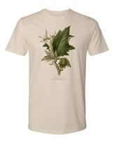 Cottage Cult Clothing Tee T Shirt 100% Cotton Occult Goth Witch Datura Flower S
