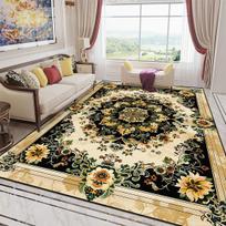 European Gorgeous Carpet Living Room Large Area Decoration Home Sofa Area Rugs for Bedroom Bedside Non-slip Floor Mat Washable 60cm x 90cm