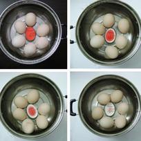Egg Cook Controler Food-grade Resin Egg-shape Cooking Alarm Portable Boiled Eggs Resin High Accuracy for Home Kitchen Use China Mainland
