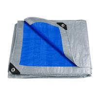 Tarpaulin 2/3/4/5M Waterproof Canopy Tarp Sheet Cover Polyethylene Shade Tent Cover Outdoor Tarpaulin Top Cloth with Grommets 200x300CM