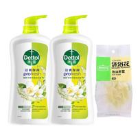 Dettol Refreshing & Moisturizing Shower Gel