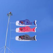 5pcs Carp Shape Flags Japanese Style Carp Shape Flags Koinobori Fish Flag Hanging Fish Flag Kite Home restaurant festival Decor 55.00x13.00x0.50cm