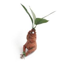 Mandragoros Žolės Dervos Statula Kraštovaizdžio Ornamentas Meno Figūrėlė Amatai Lauko Sodui Kiemui Svetainei Miegamajam Dovana 1pc