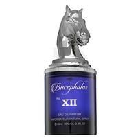 Armaf Bucephalus No. XII EDP M 100 ml 100ml