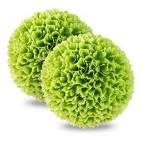 Buksmedžio rutuliai 28 cm 2 vnt.