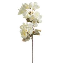 Dirbtinė gėlė Flore 834, kreminė sp., 70 cm x 17 cm