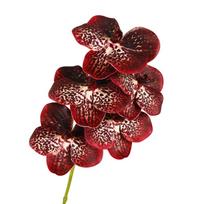 Drugelio orchidėja Dirbtinė Vanda orchidėjos gėlė Realus prisilietimas Rankų darbo Dirbtinė Phalaenopsis Dirbtinė prabangi netikra gėlės šaka tamsiai raudona spalva