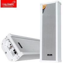LINGSHENG 60W Outdoor PoE Smart Speaker (CN version)